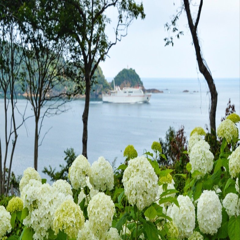 あじさいロード×シビックプライド！｜くらしアトリエ(地域と暮らしの発信）