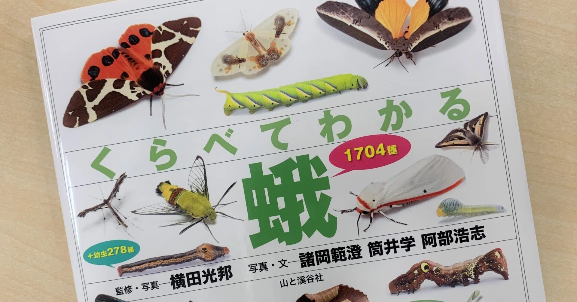 日々の蛾活の先につくったもの。「蛾」という大海に漕ぎ出す最初の1冊