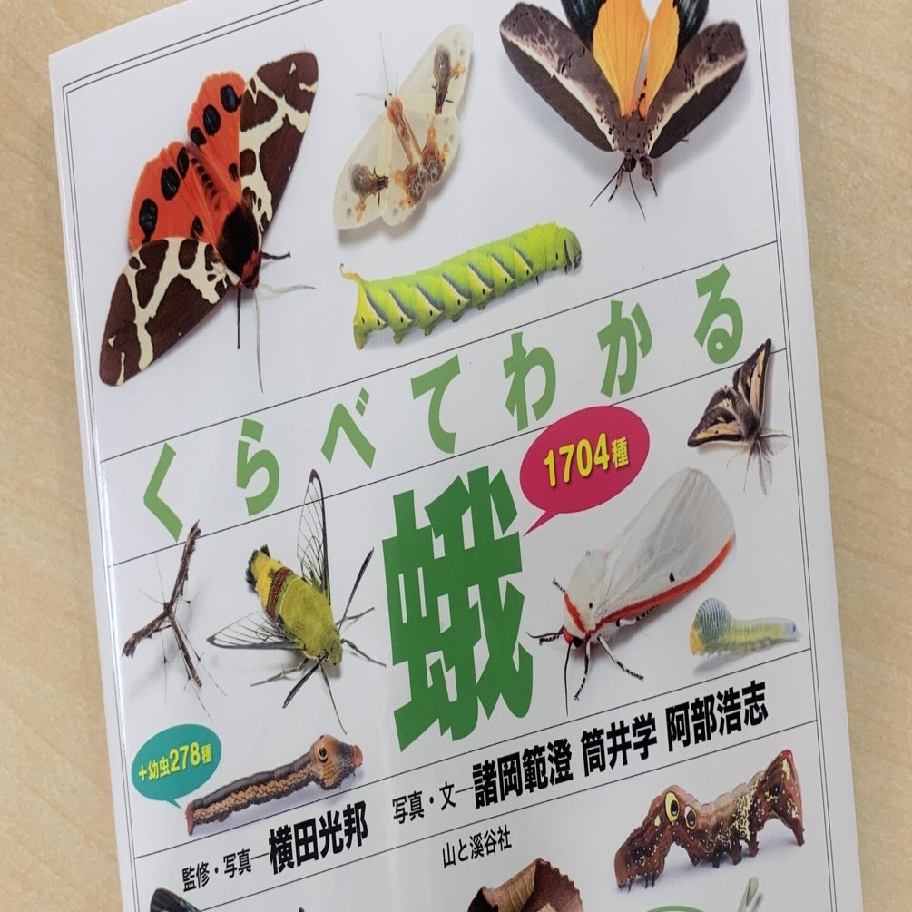 日々の蛾活の先につくったもの。「蛾」という大海に漕ぎ出す最初の1冊