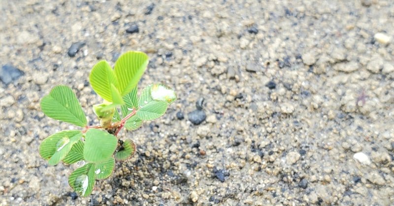 言葉は膜、その先。詩っぽい。…恥ずかしいついでに下書きを上げる勇気が出ました。勢い大事。