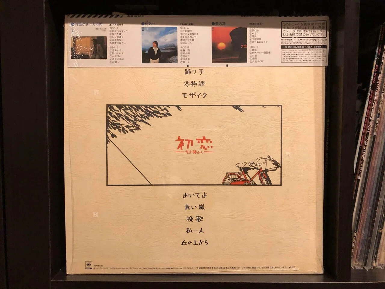 初恋〜浅き夢みし〜／村下孝蔵 ('83)｜Takeshi Tada