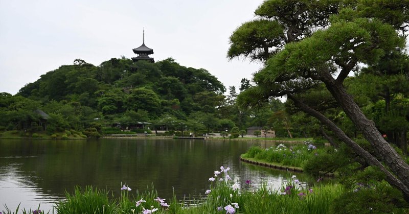 神奈川・三溪園