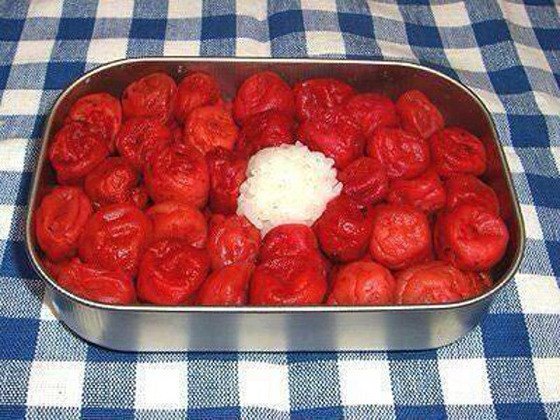 メシ以外全部苦手なモノとかあったな ゴキジェットわろた 仕返しというより お仕置き弁当だろ これ か かーちゃんごめん 閲覧注意 仕返し リベンジ 弁当 なんてジャンルがあるの知らなか 直野隆一郎 Note