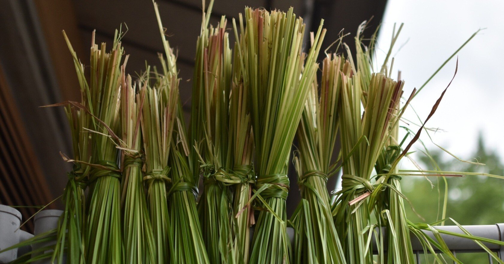 1ea5fab90a2c551db69880f558cec2