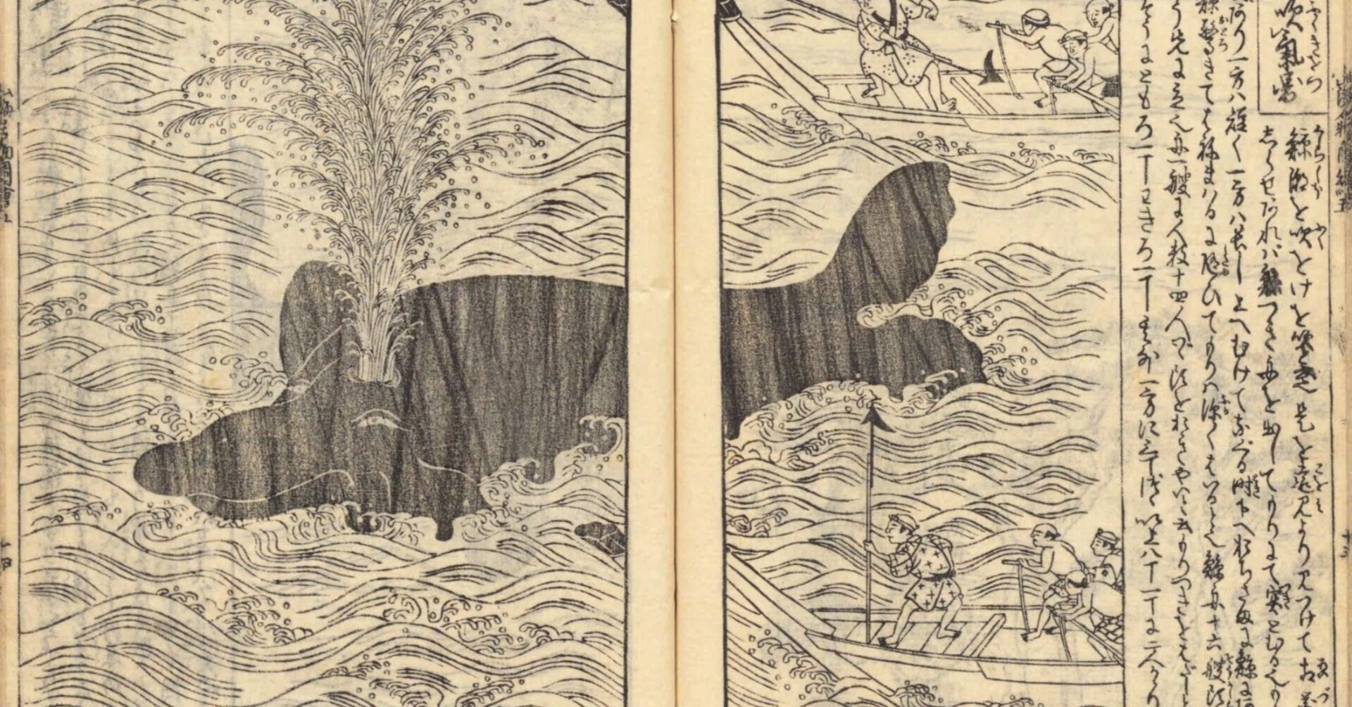 rectangle_large_type_2_5c19042