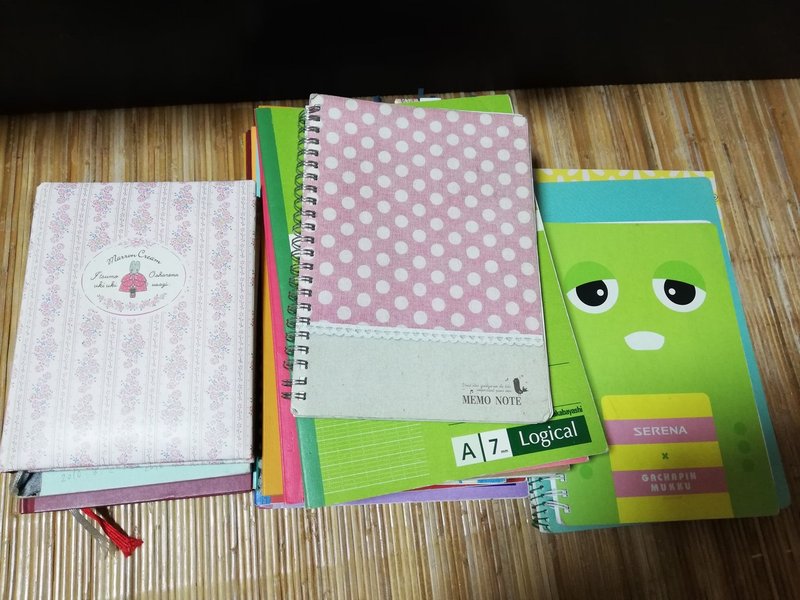 過去の日記帳公開 小学生編 やもりじゅんこ Note