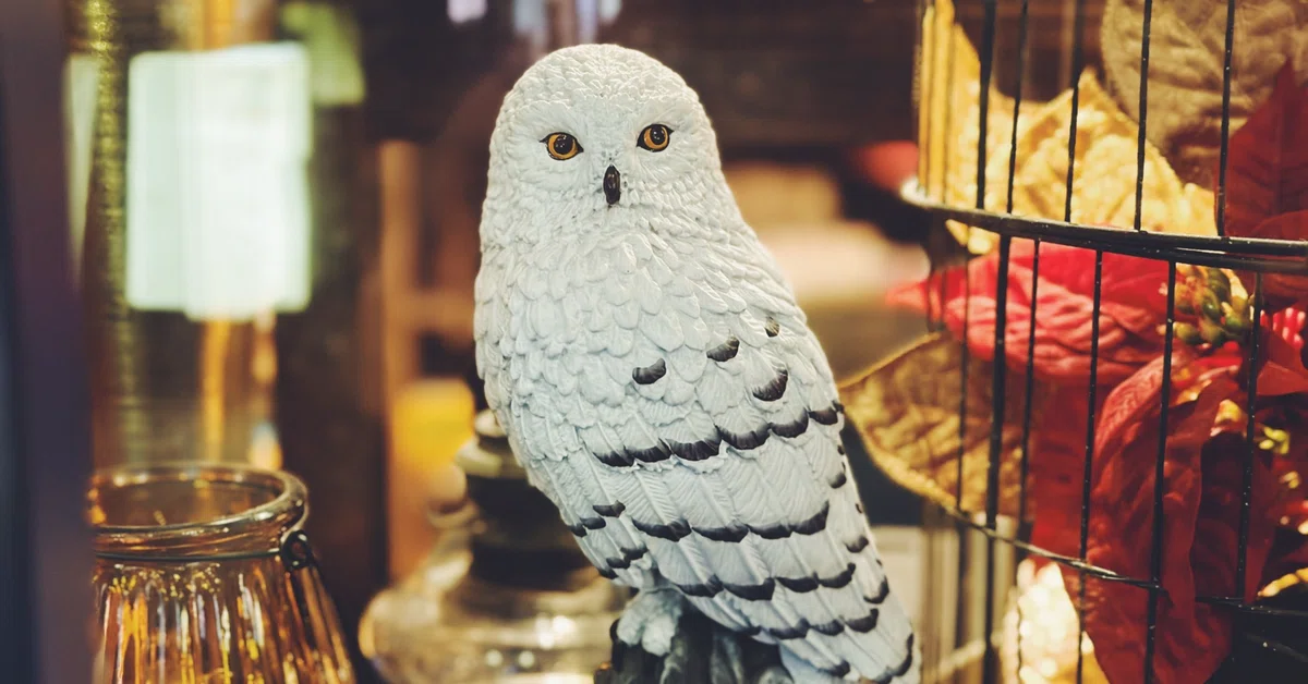 ハリーポッターフクロウ激レア大人気 ハリーポッターフクロウ激レア