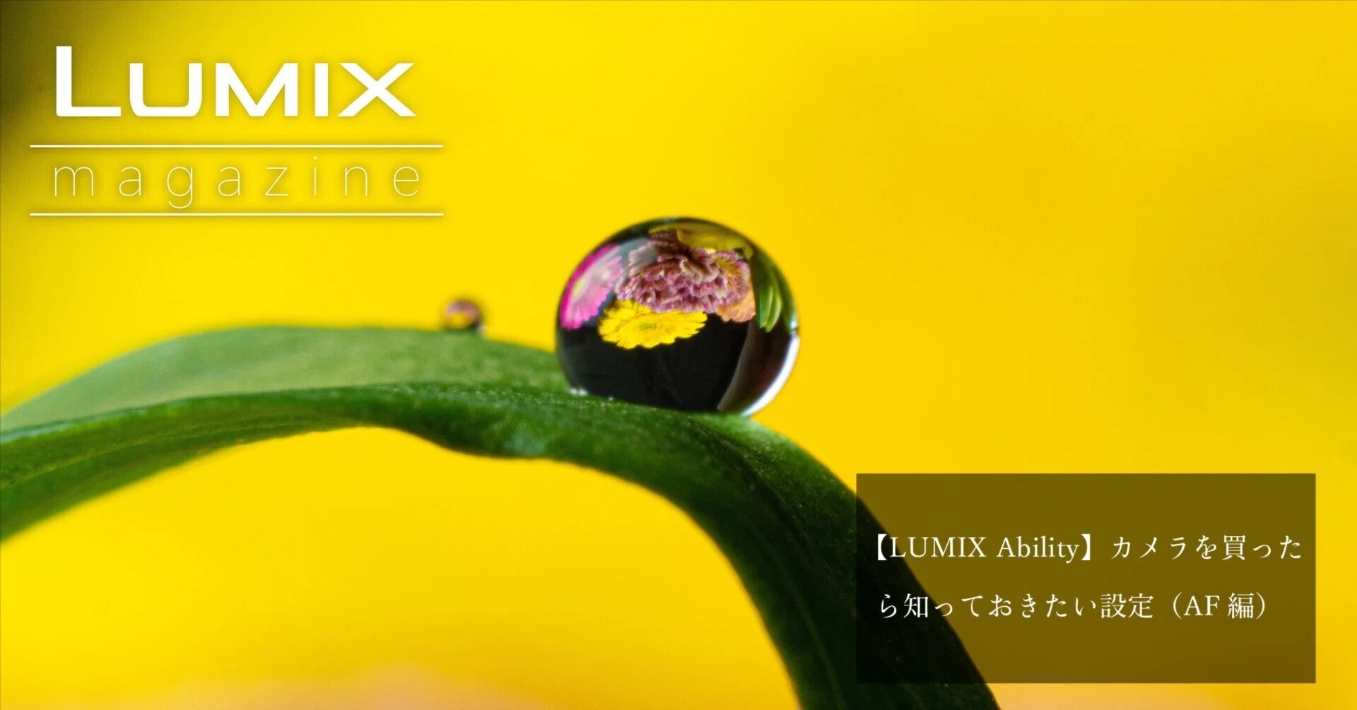 LUMIX Ability】カメラを買ったら知っておきたい設定（AF編）｜LUMIX