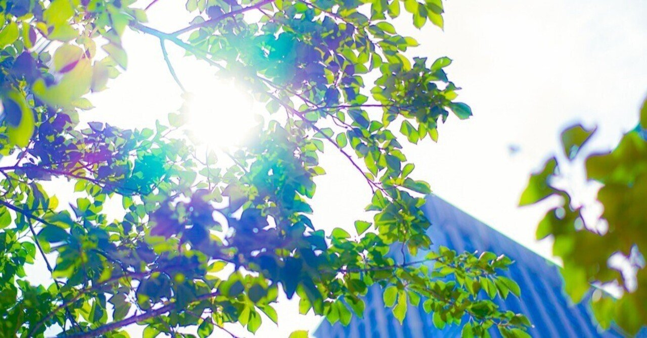 【自己信頼】は「築く」と「氣付く」から成り立つ|HiromiSaito