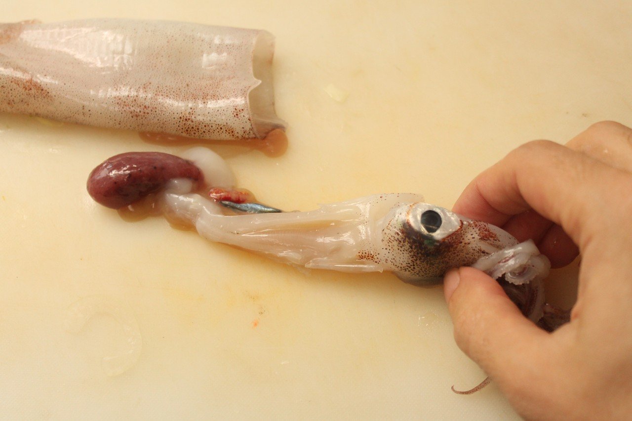 魚料理にインパクトを添える ソースカラマリ 樋口直哉 Travelingfoodlab Note 魚料理にインパクトを添える ソースカラマリ 樋口直哉 Travelingfoodlab Note