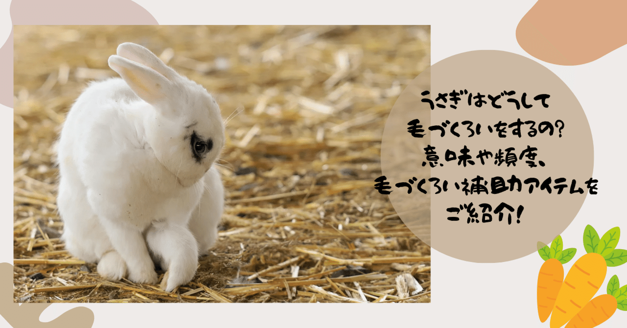 なんの変哲のないうさぎ なんの変哲のないうさぎ