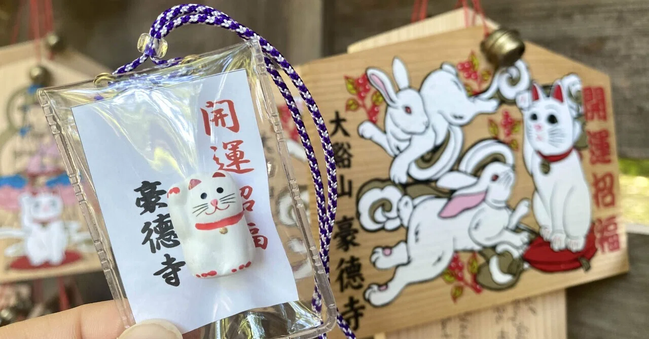 豪徳寺】｜のだかおり イラストレーター