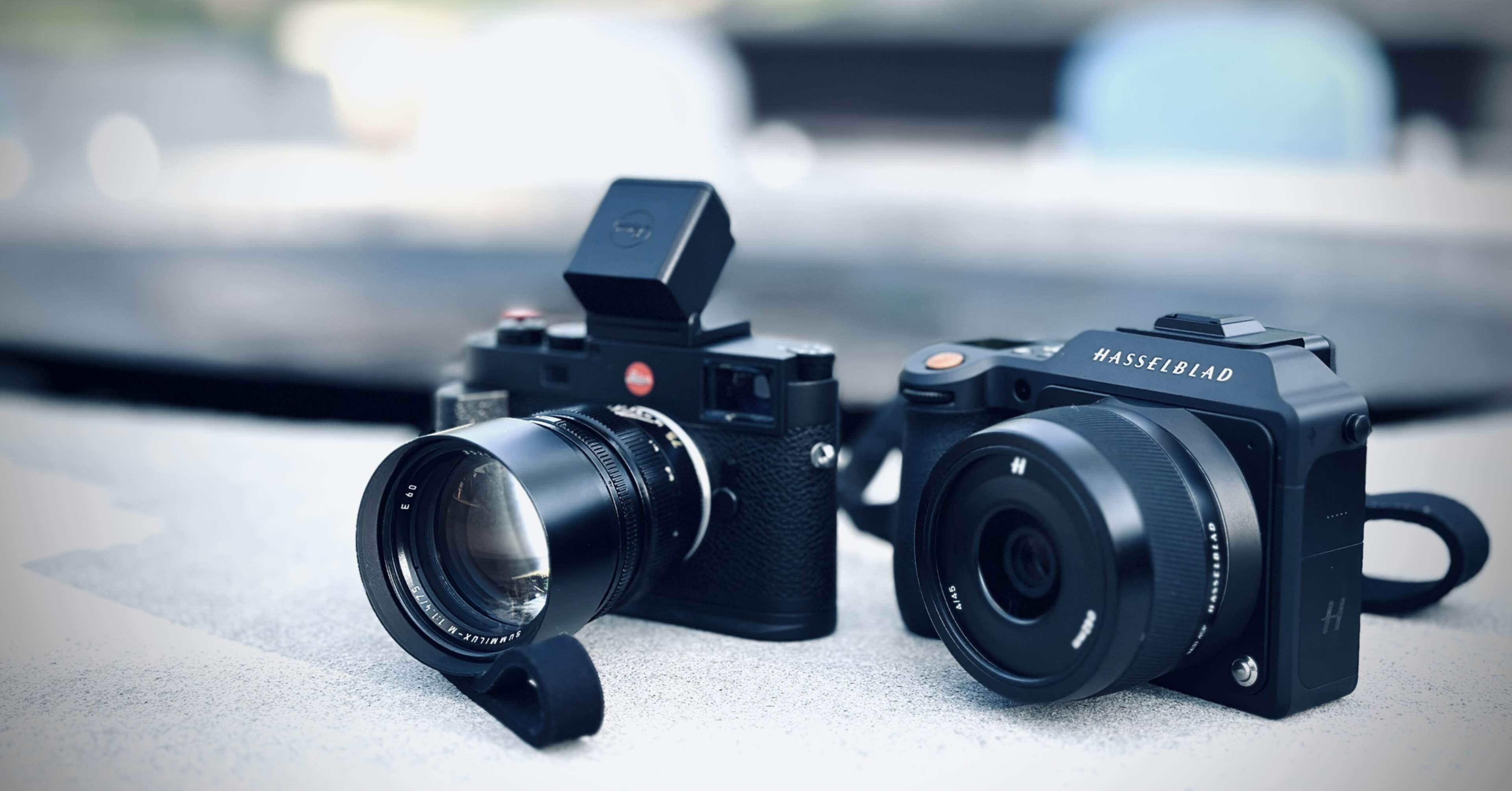 Leica M11 と Hasselblad X2D の2カメで紫陽花スナップする休日の