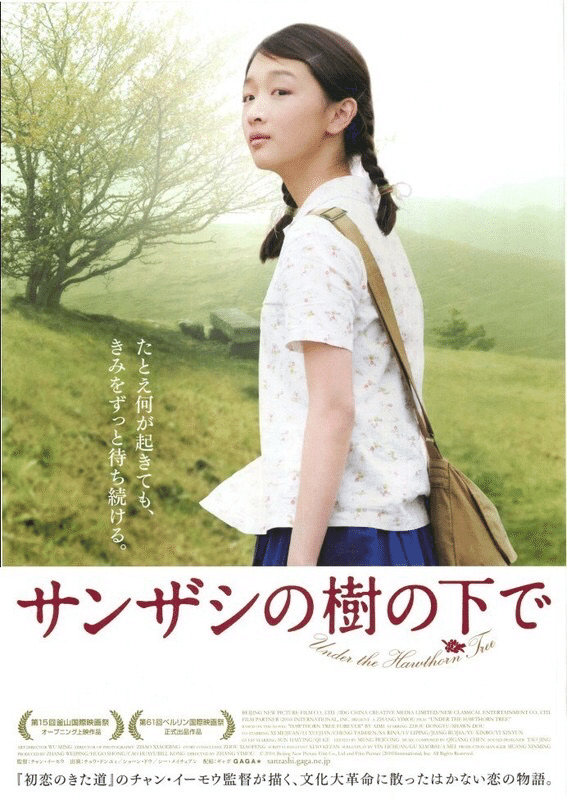 映画🎞 『サンザシの樹の下で』山楂樹之戀｜murata