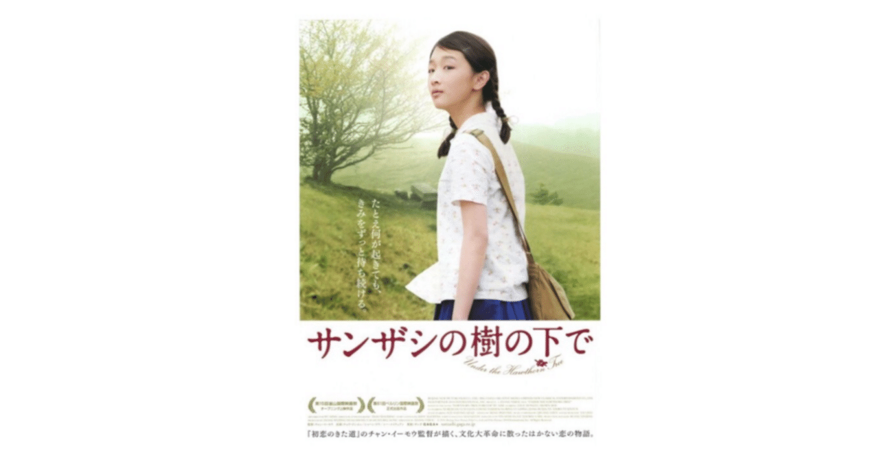 映画🎞 『サンザシの樹の下で』山楂樹之戀｜murata