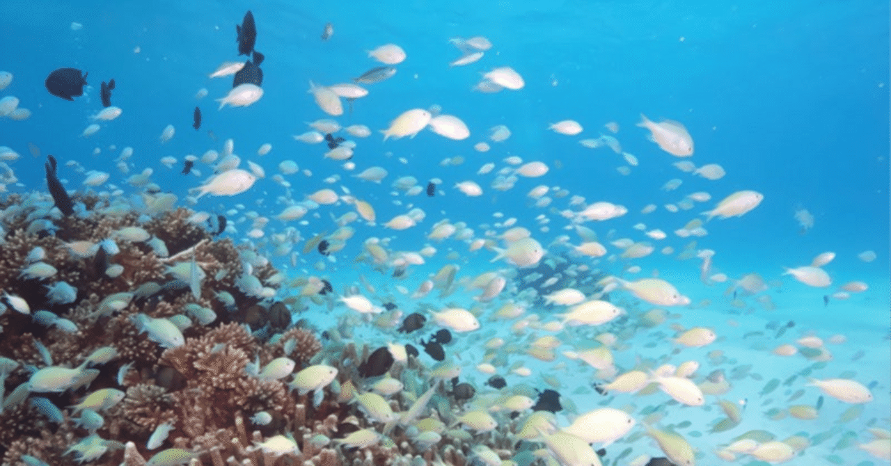 海という言葉を使わず海を詠む」の人気タグ記事一覧|note ――つくる、つながる、とどける。