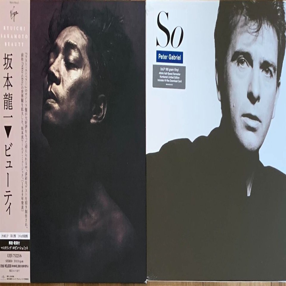 Beauty /Ryuichi Sakamoto（1989）｜池田 和正