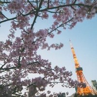 Fujifilm クラシックネガを再現するプロファイル プリセット Pc モバイル両対応 Kogame Note