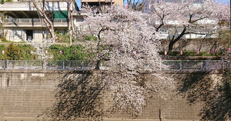 2019.4.3｜アシスタント日記（猪狩）