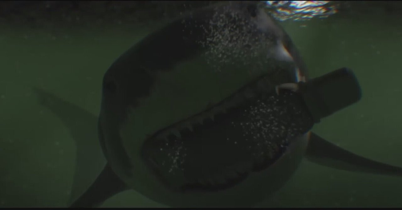 日本未公開サメ映画⑧「Bull Shark」|鮫サメ子 日本未公開サメ映画⑧「Bull Shark」|鮫サメ子