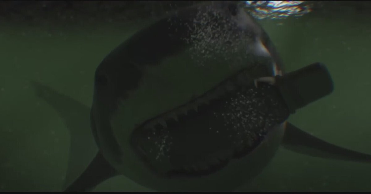M 宇宙　サメ planetofthesharks_201704_09.