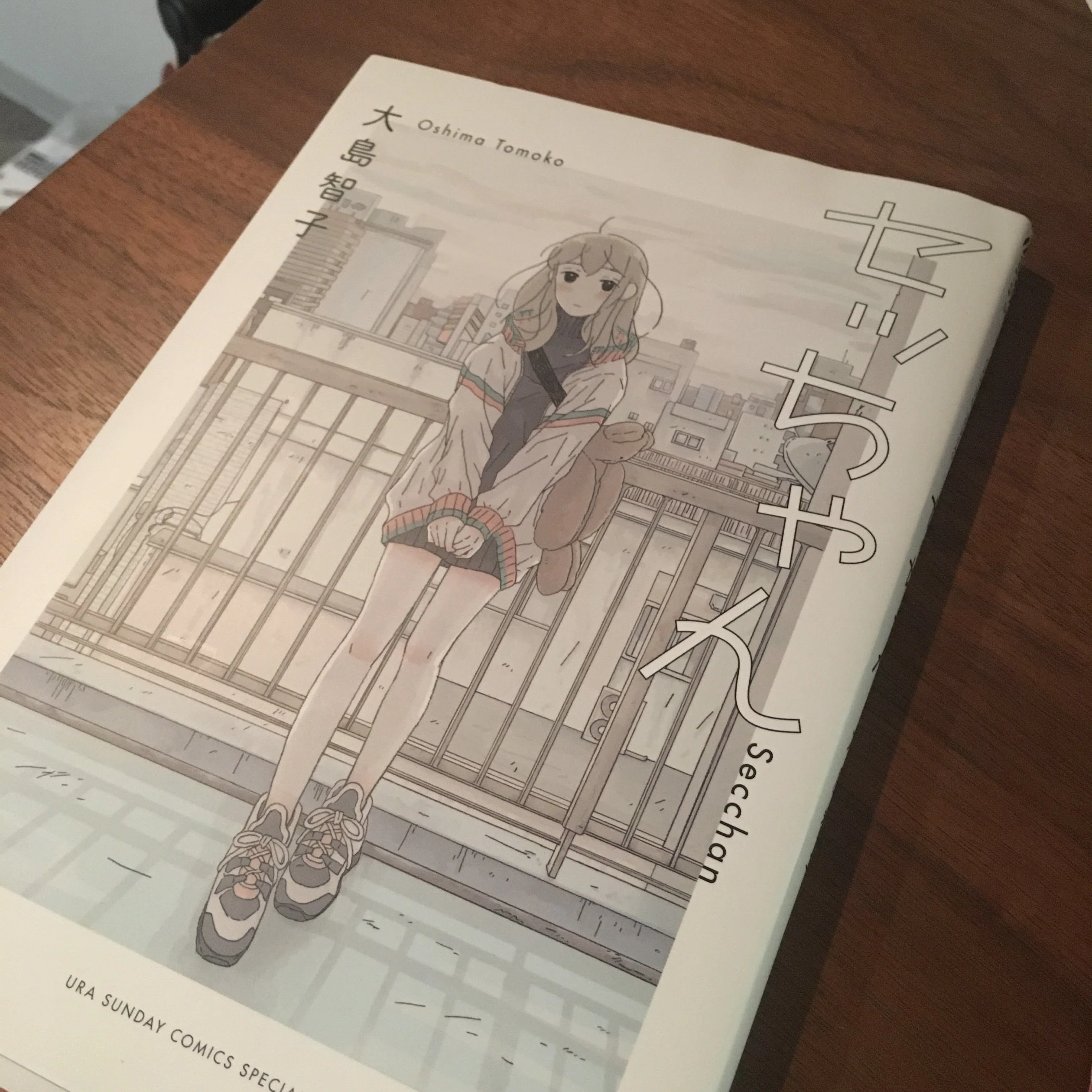 幸せは触れない形をしてる―大島智子『セッちゃん』｜満島エリオ