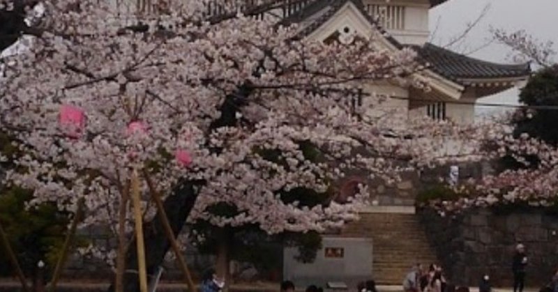 亥鼻城と桜