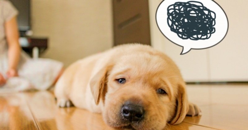 アラフォーのシングルマザーです 恋愛したいけど気持ちにムラがあります 恋愛相談アドバイス 恋愛トレーナー中居賢匠 Note