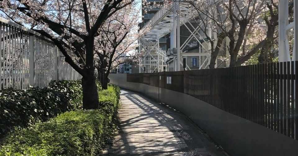 涙腺が緩む 桜といえばこの男ヒルルクの名言 李佑記 イ ウギ 言葉には力がある Note