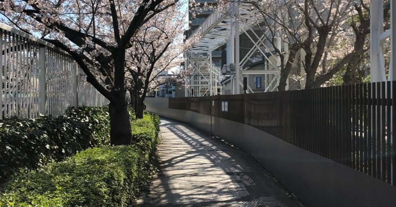 涙腺が緩む 桜といえばこの男ヒルルクの名言 李佑記 イ ウギ 言葉には力がある Note