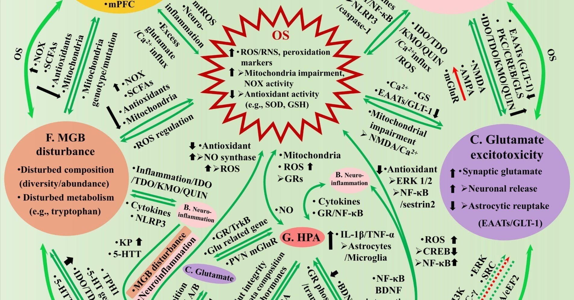 8a5c66e01495265a8219b9952d6441