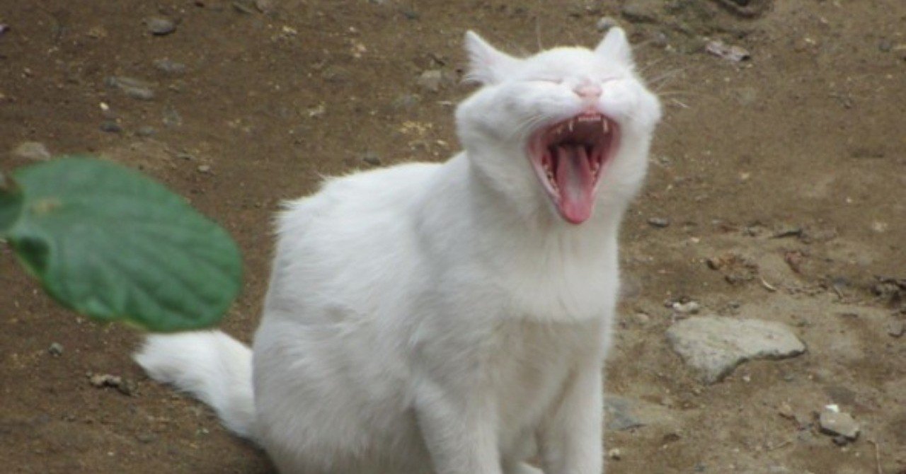 滑舌を良くするために 外郎売 を練習する自分がいる Shiftgood タカハシケンジ 書くンジャーズリーダー Note 滑舌を良くするために 外郎売 を練習する自分がいる Shiftgood タカハシケンジ 書くンジャーズリーダー Note