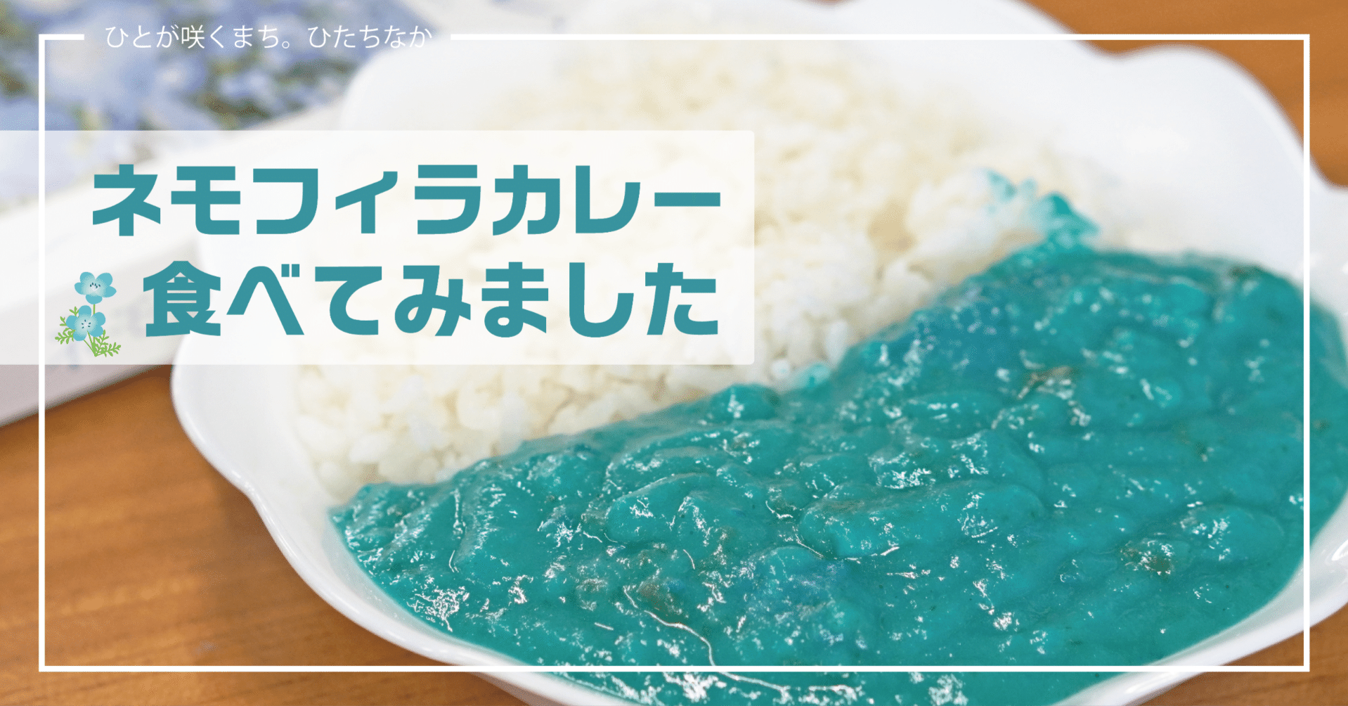 青の絶景!?「ネモフィラカレー」実食レポート｜ひたちなか市公式note
