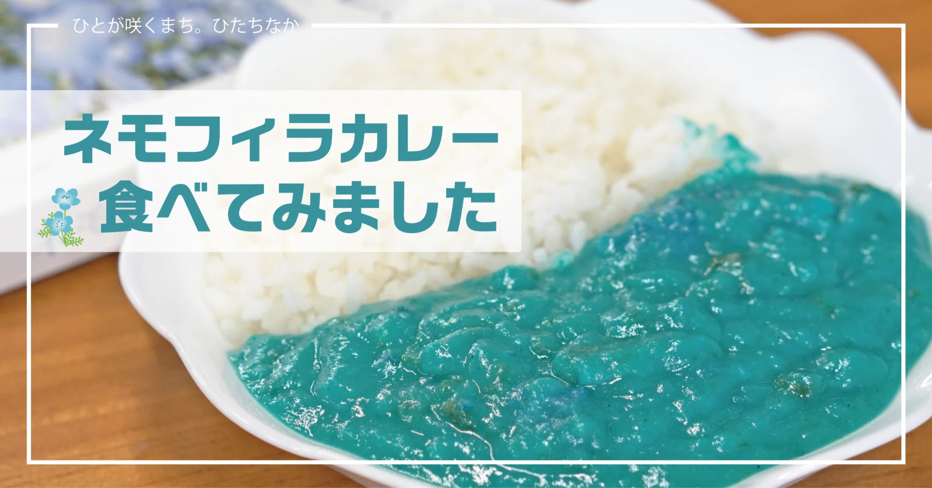 青の絶景!?「ネモフィラカレー」実食レポート｜ひたちなか市公式note