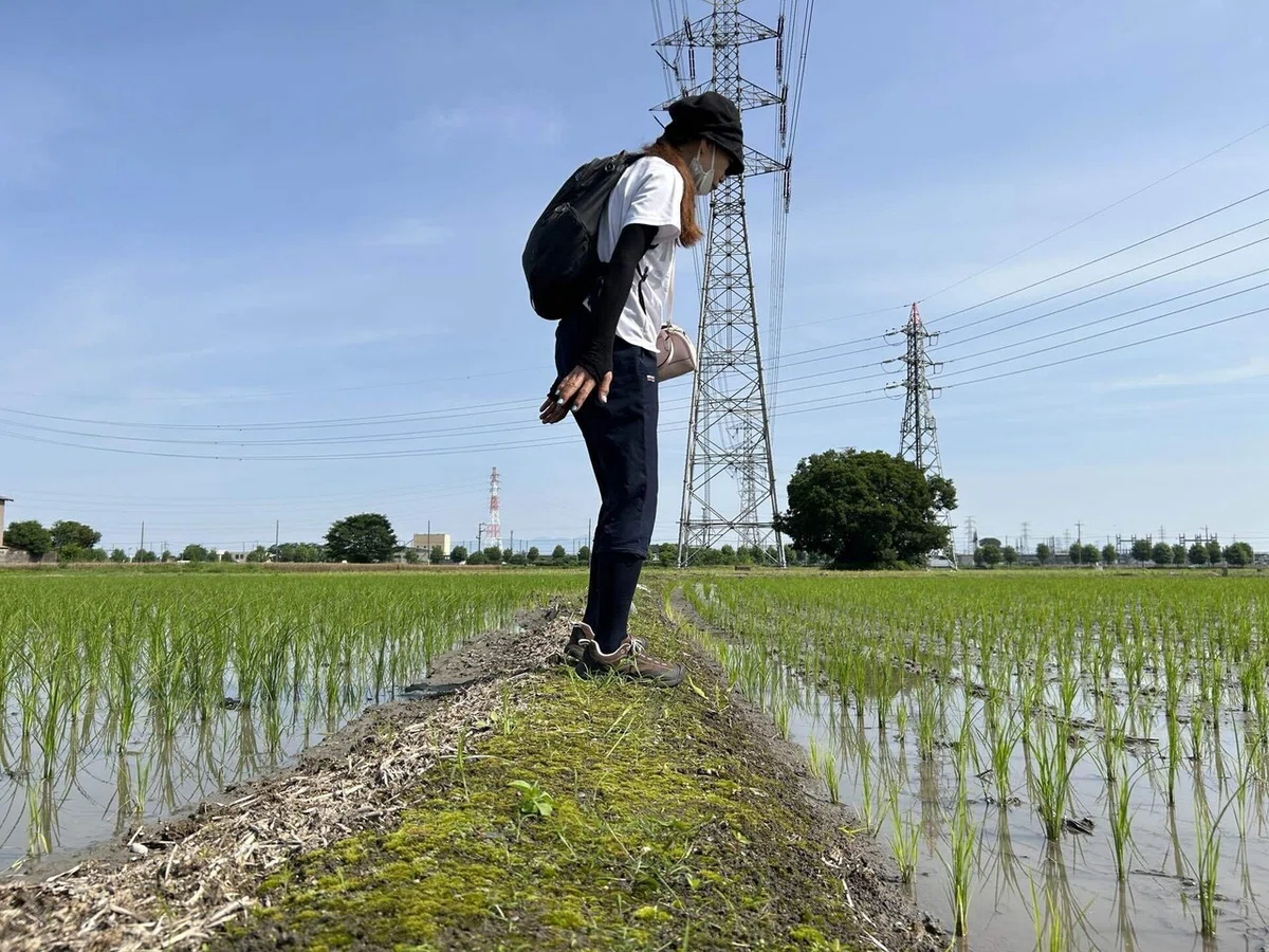 画像