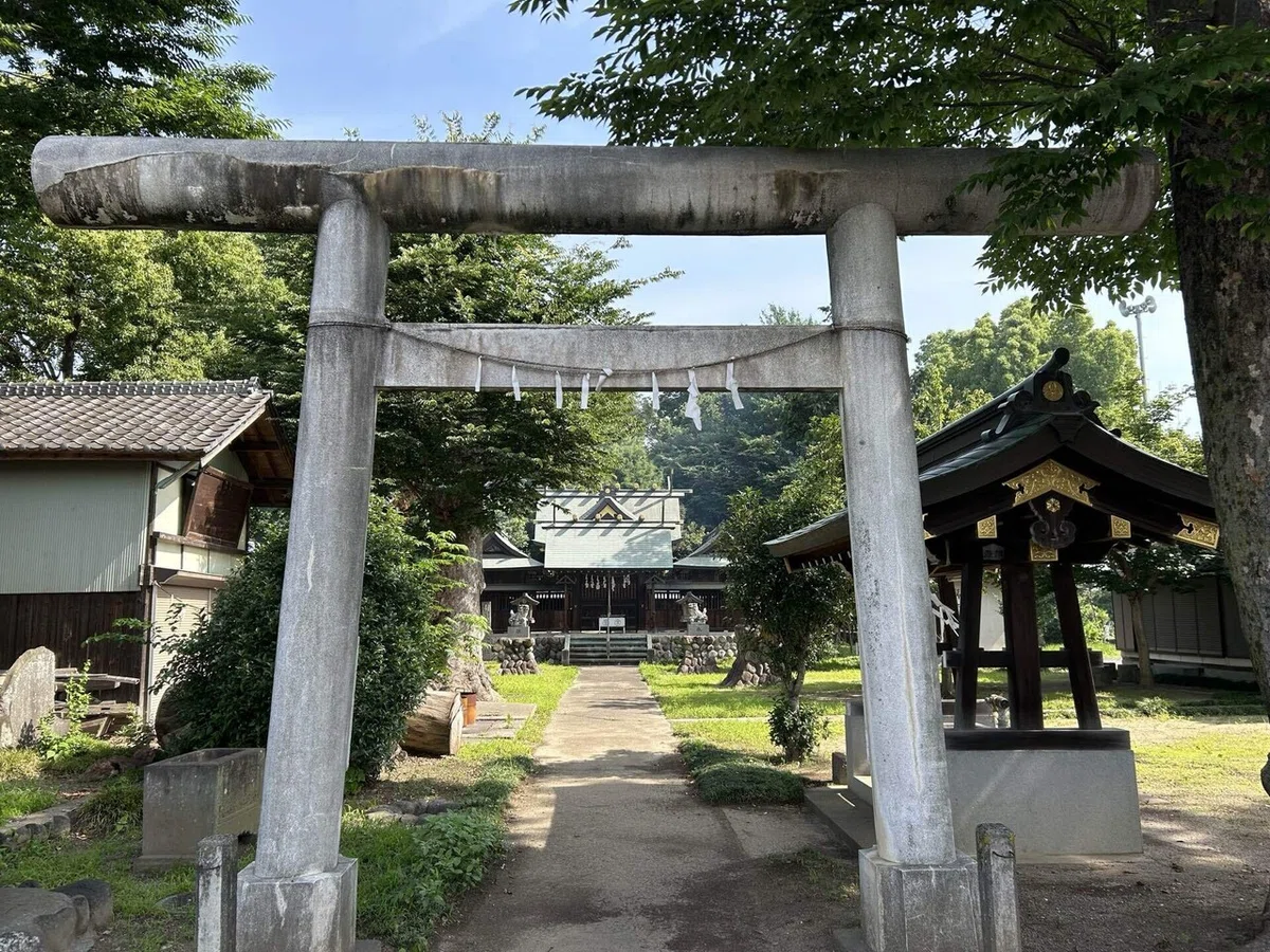 画像
