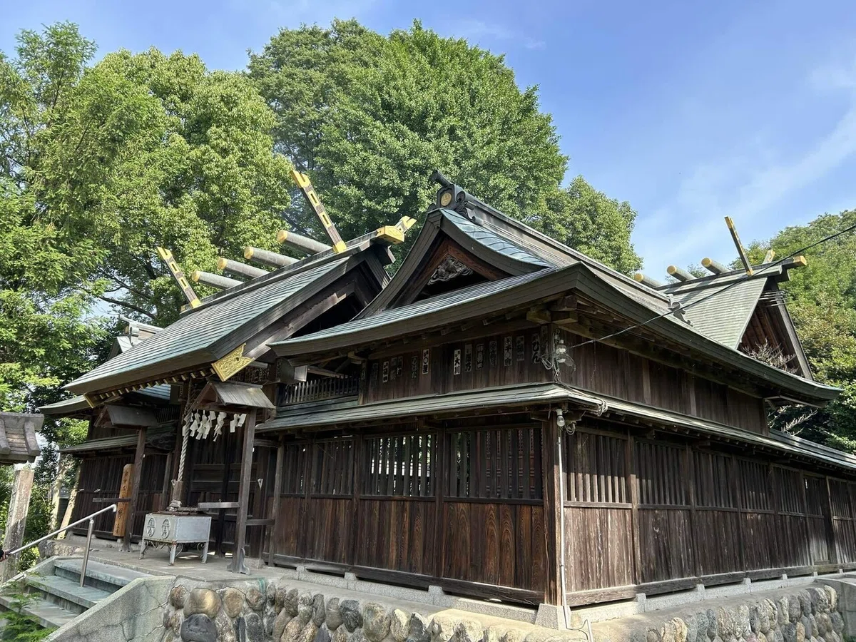 画像