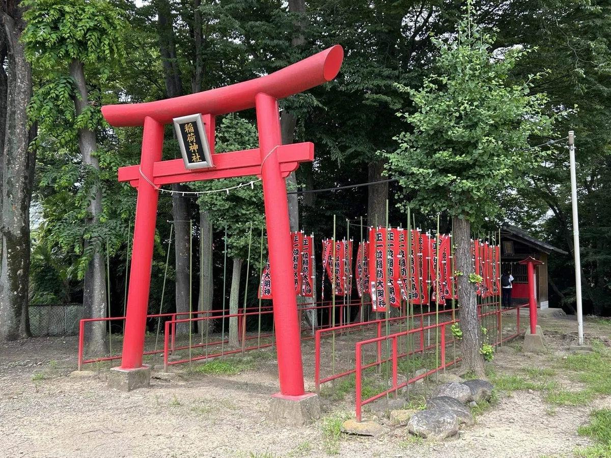 画像