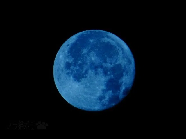 画像18