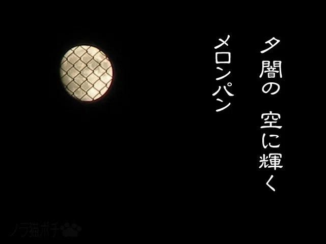 画像15