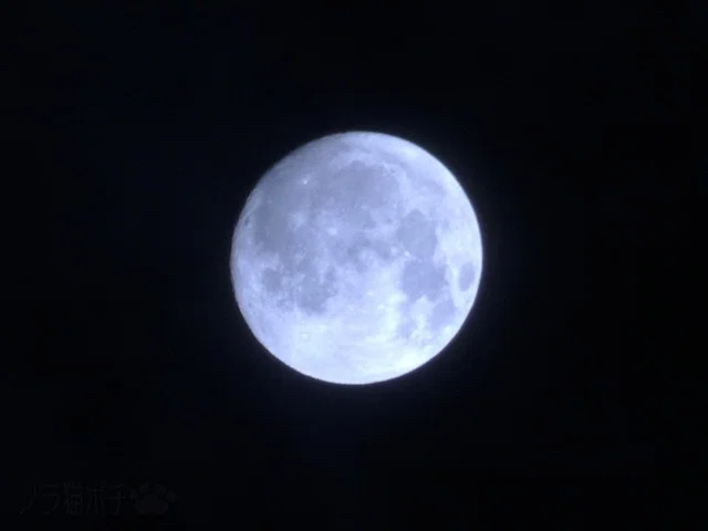 画像20