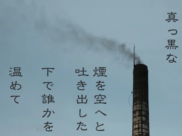 画像14