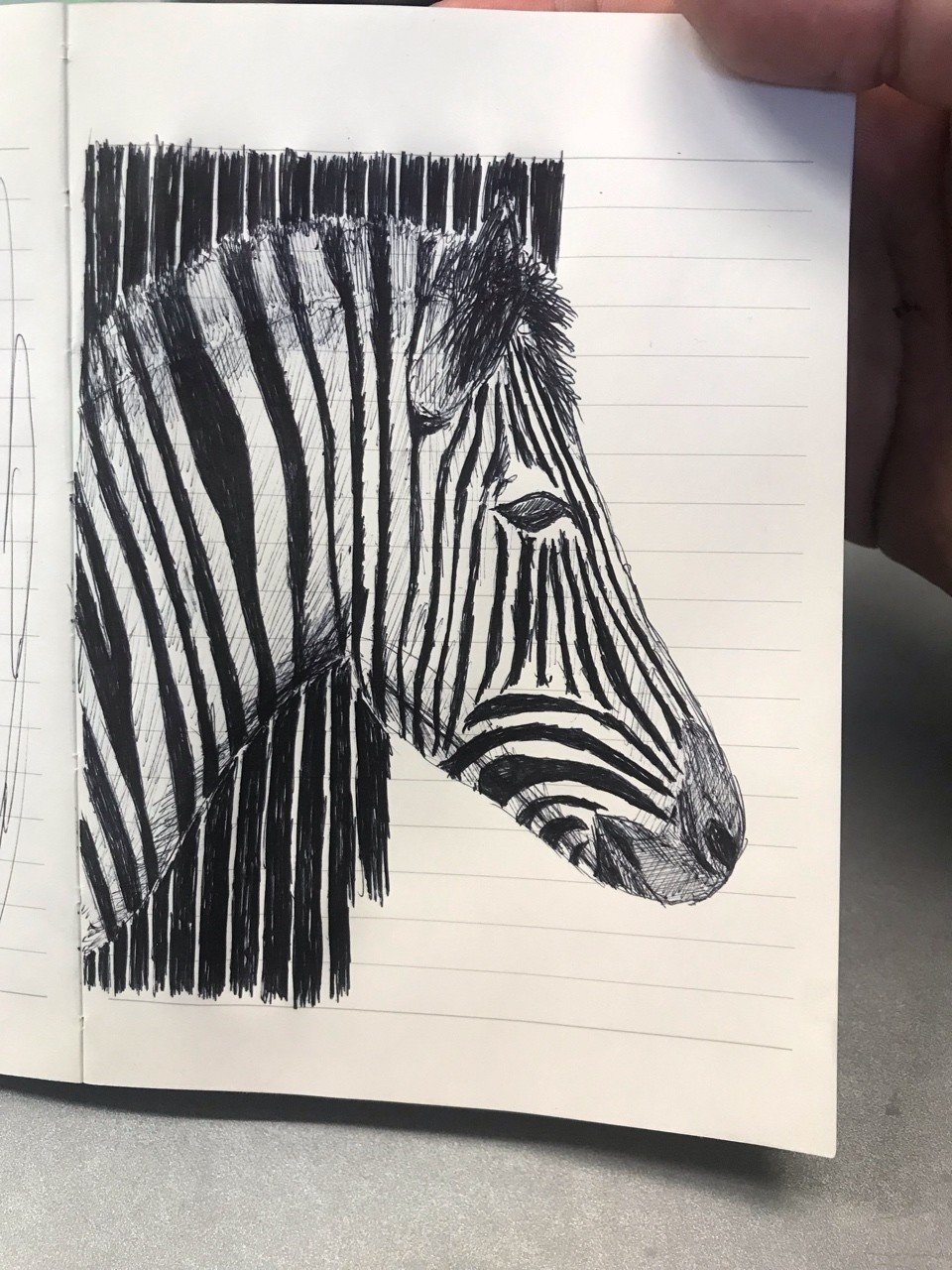 シマウマ｜愛ちゃん石川