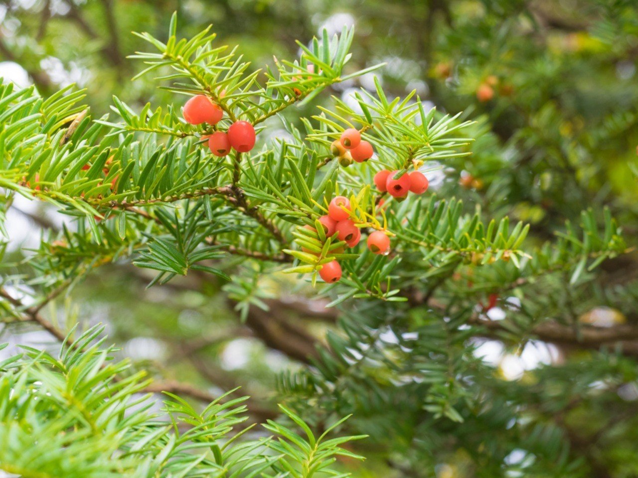 バスガイドの一日 ツアー開始から終わりまで 春智 Note