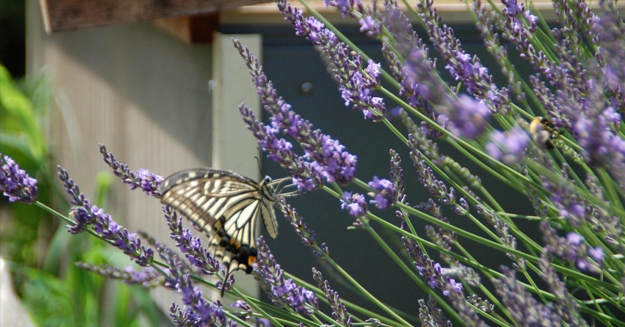 昆虫と花とイチゴ ヴィンテージ ステンドグラス 蜻蛉 ミツバチ 蝶々 昆虫と花とイチゴ ヴィンテージ ステンドグラス 蜻蛉 ミツバチ 蝶々