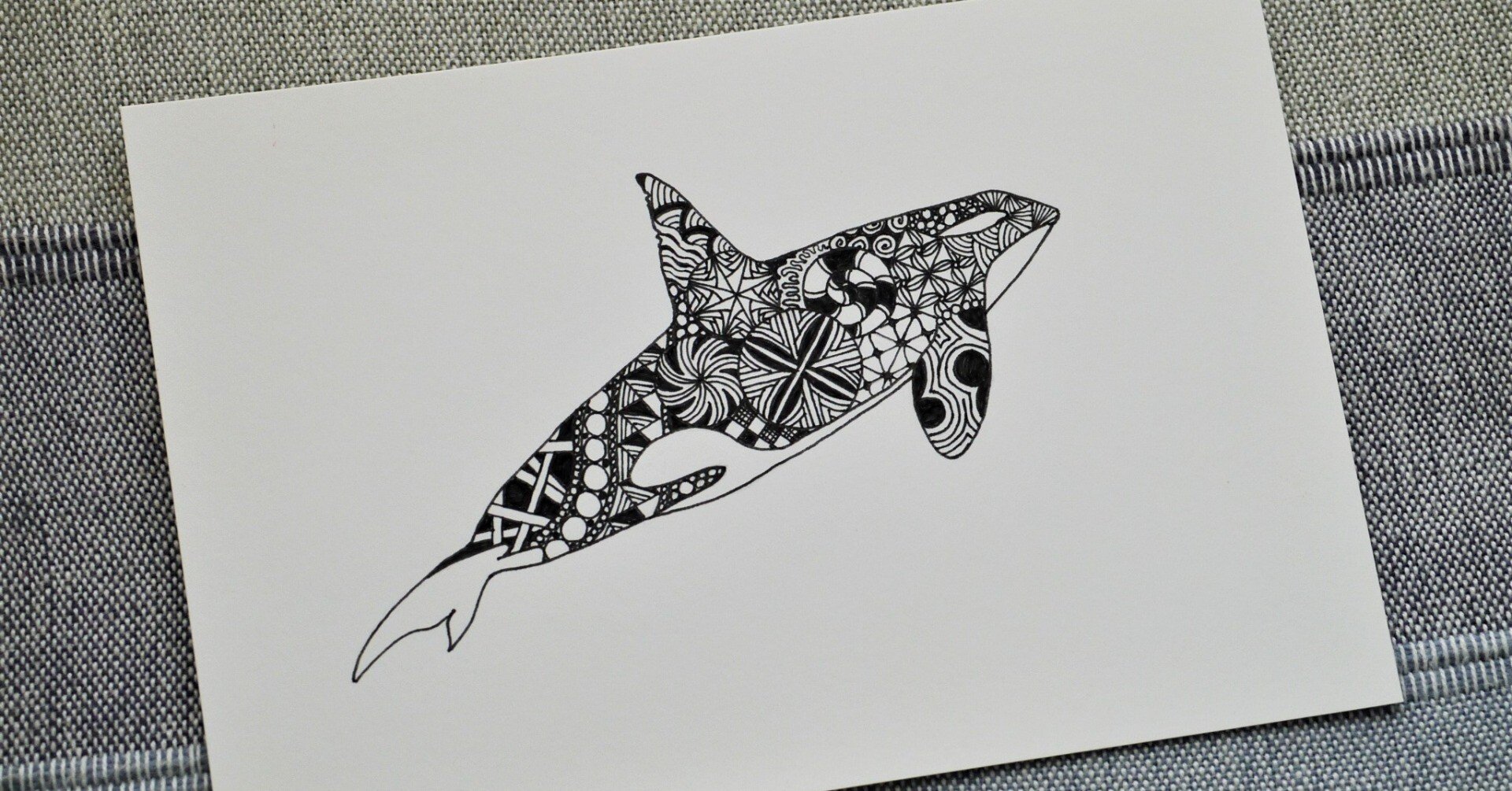 ゼンタングル シャチ｜sion