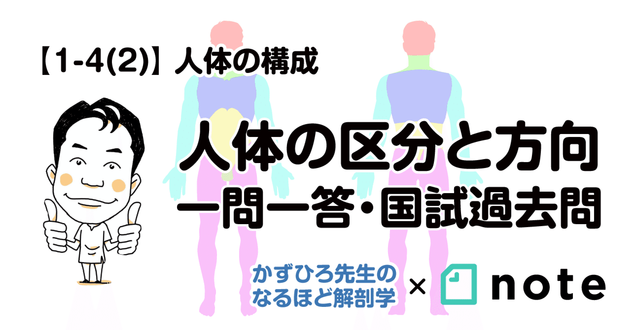 国家試験問題(解剖学・生理学)10年間解説と解答: 「柔道整復師