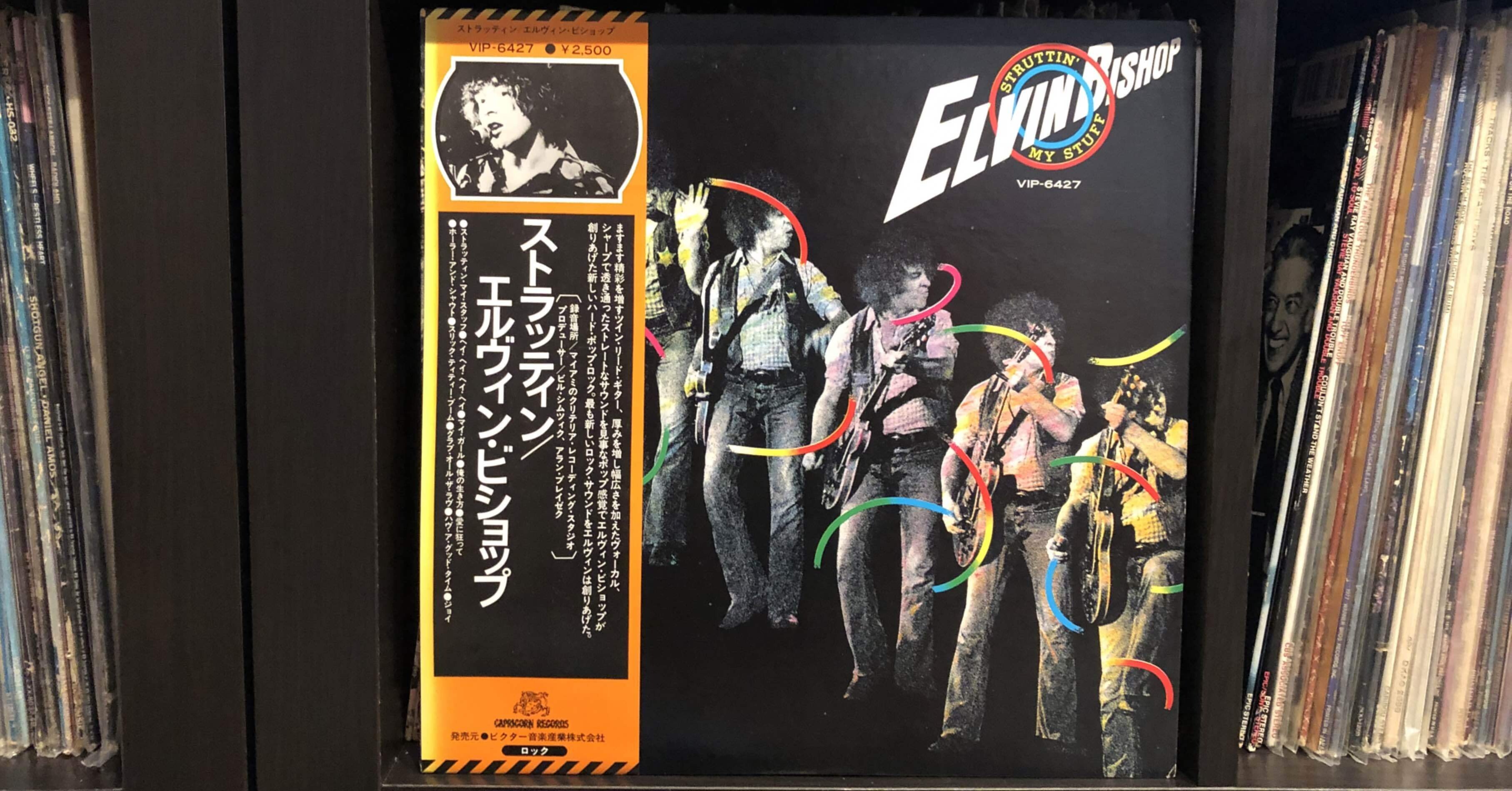 ストラッティン／エルヴィン・ビショップ ('75)｜Takeshi Tada