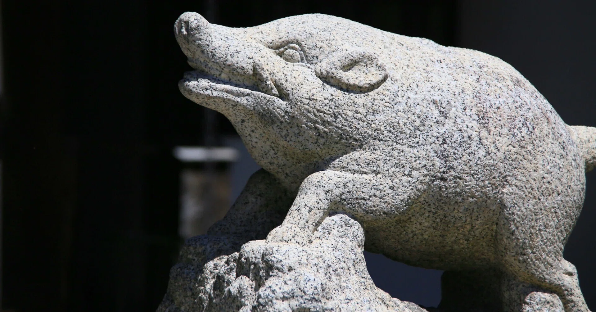 神使「猪」 和気清麻呂を守護した山の神「猪」-『神々の意思を伝える動物たち 〜神