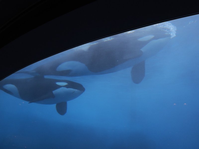 No 10 名古屋港水族館 前編 あり Note No 10 名古屋港水族館 前編 あり Note